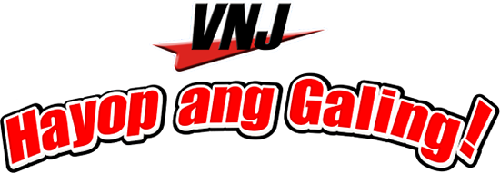 VNJ Logo